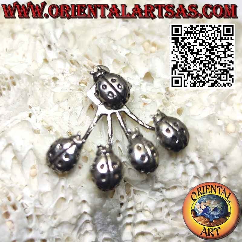 Orecchino in argento rampicante (climber) a ventaglio, le coccinelle