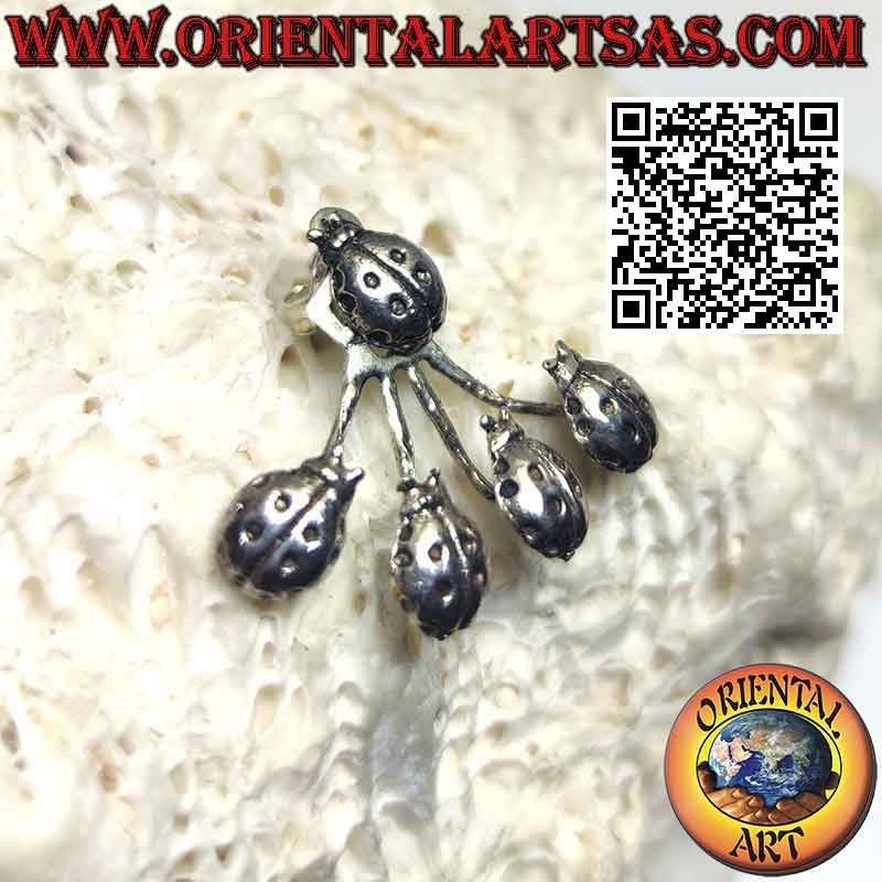 Orecchino in argento rampicante (climber) a ventaglio, le coccinelle