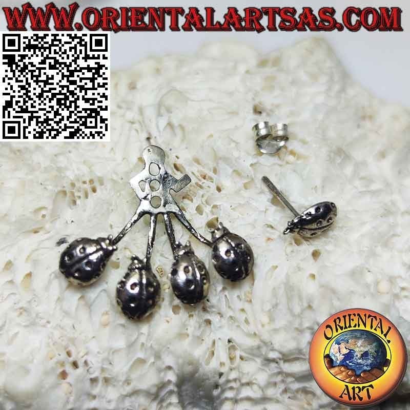 Fan-shaped climbing silver earring (climber), ladybugs