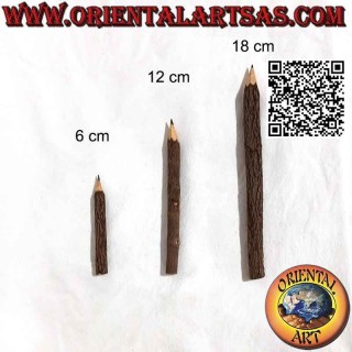 Crayons de graphite dans le tronc d'arbre, différentes tailles