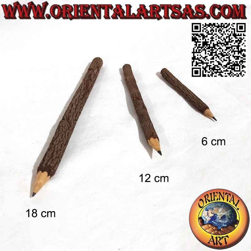 Crayons de graphite dans le tronc d'arbre, différentes tailles