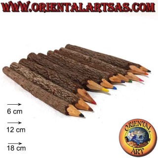 Pack de 10 lápices de colores en el tronco del árbol, varios tamaños