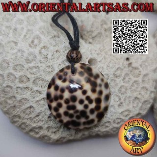 Collier avec coquille ronde de Gastéropode et nœuds coulants (B)