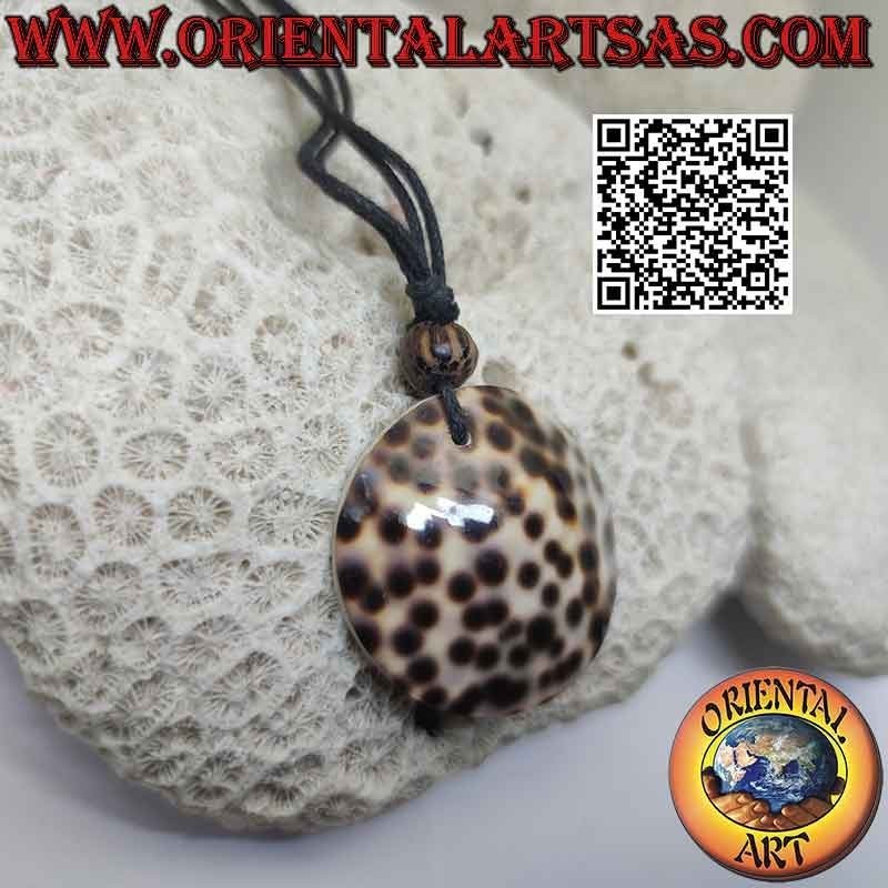 Collier avec coquille ronde de Gastéropode et nœuds coulants (B)