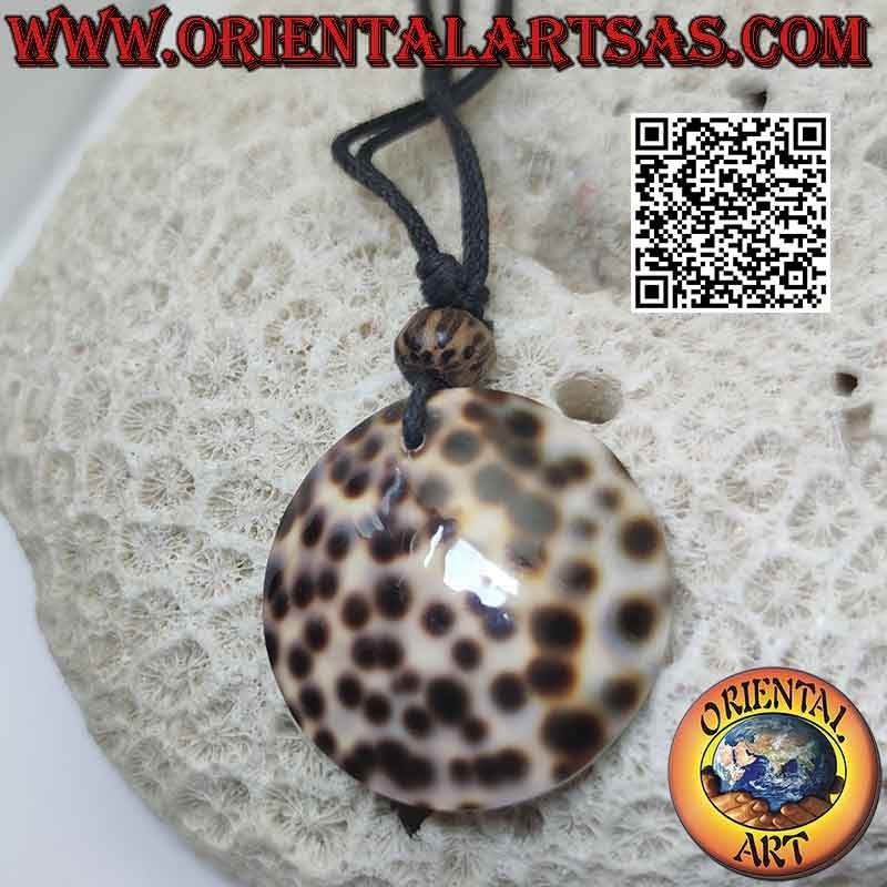 Collier avec coquille ronde de Gastéropode et nœuds coulants (B)