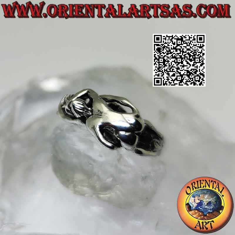 Kamasutra silver ring, the doggie-style anal sex position