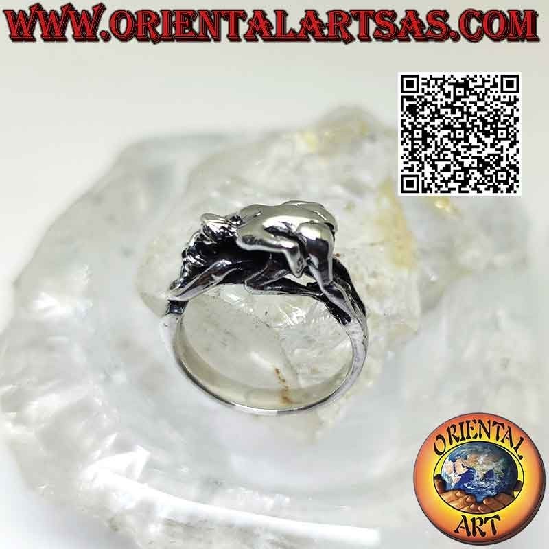Anillo de plata Kamasutra, la posición de sexo anal al estilo perrito