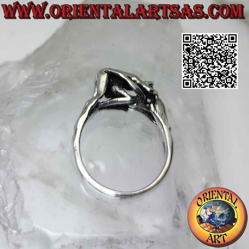 Kamasutra silver ring, the doggie-style anal sex position