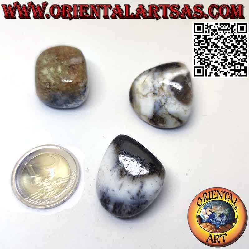 Tumbled Dendritic Agate