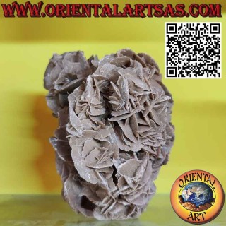 Bellissimo  pezzo di Rosa del Deserto da 1200 grammi