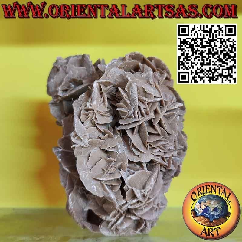 Hermosa Rosa del Desierto de 1200 gramos