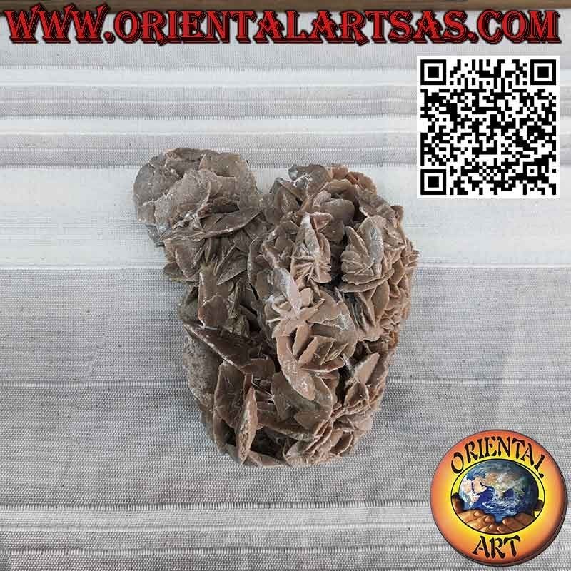 Hermosa Rosa del Desierto de 1200 gramos