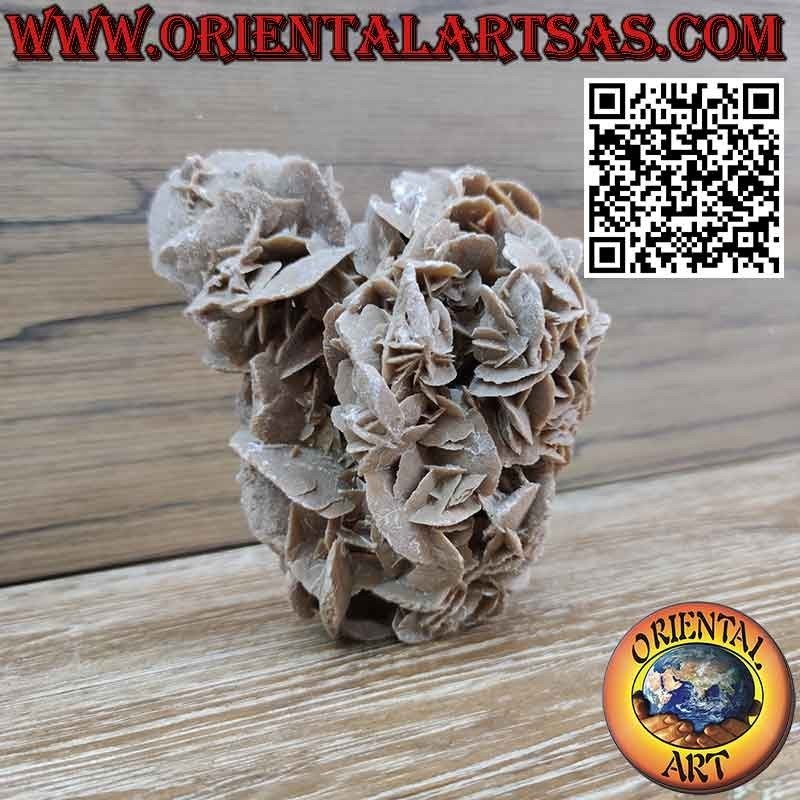 Hermosa Rosa del Desierto de 1200 gramos