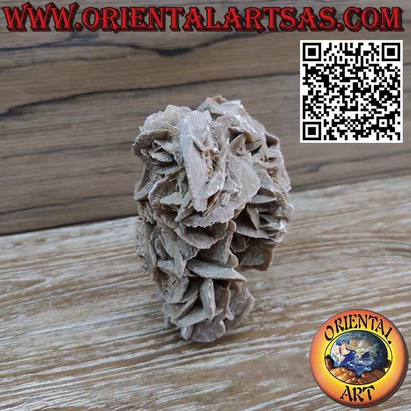 Bellissimo  pezzo di Rosa del Deserto da 1200 grammi