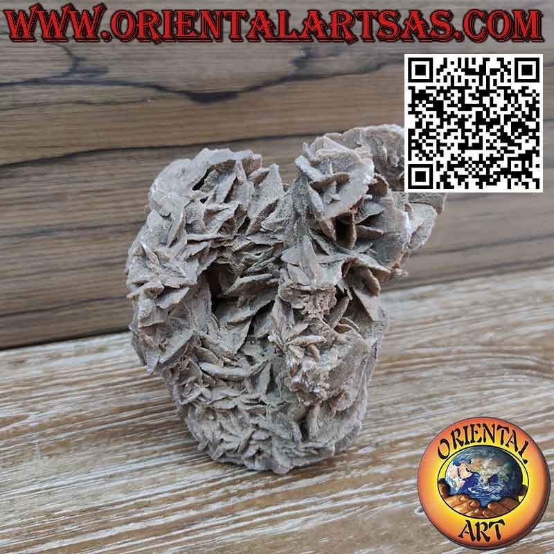 Bellissimo  pezzo di Rosa del Deserto da 1200 grammi