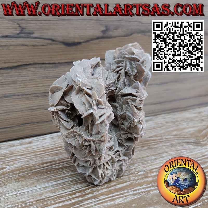 Beautiful Desert Rose of 1200 grams