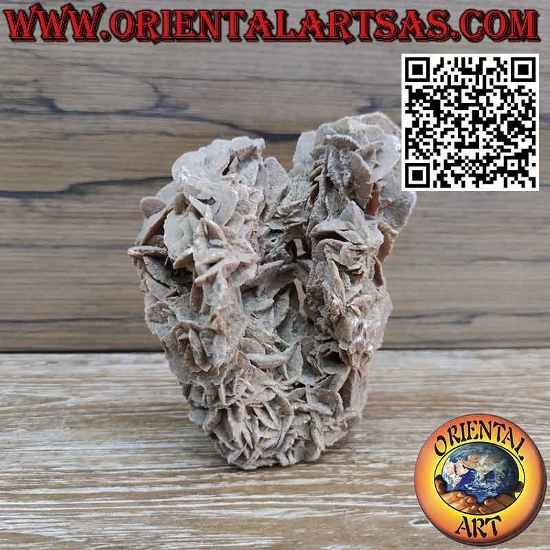 Hermosa Rosa del Desierto de 1200 gramos