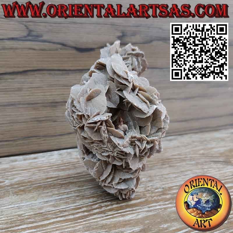 Hermosa Rosa del Desierto de 1200 gramos