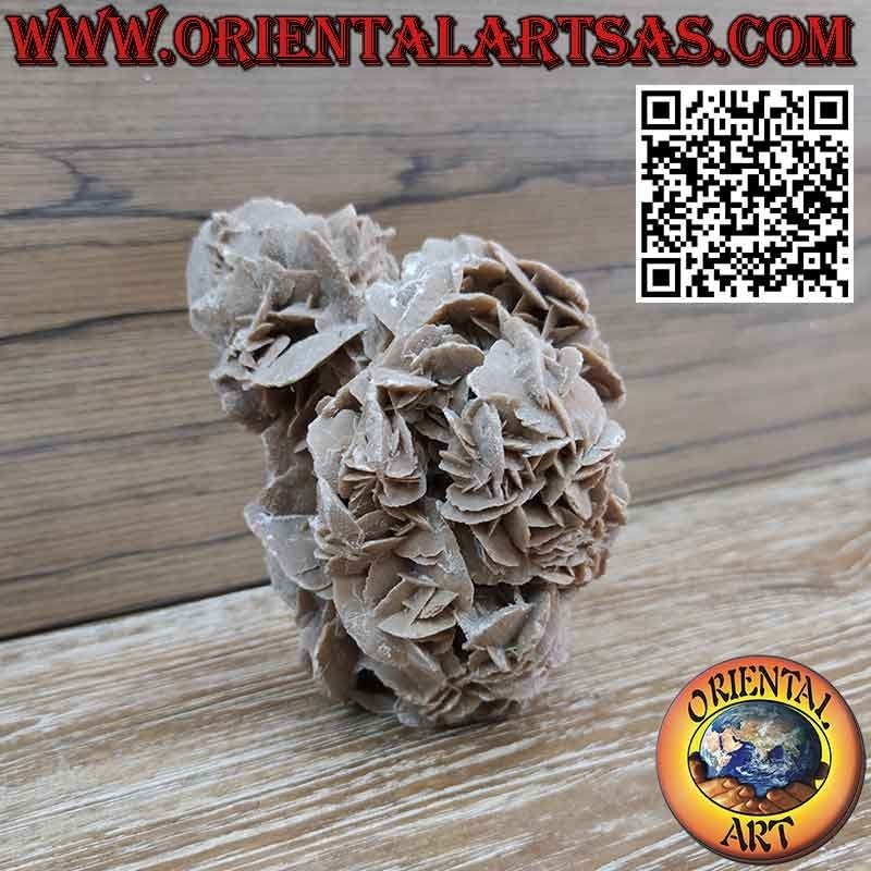 Hermosa Rosa del Desierto de 1200 gramos