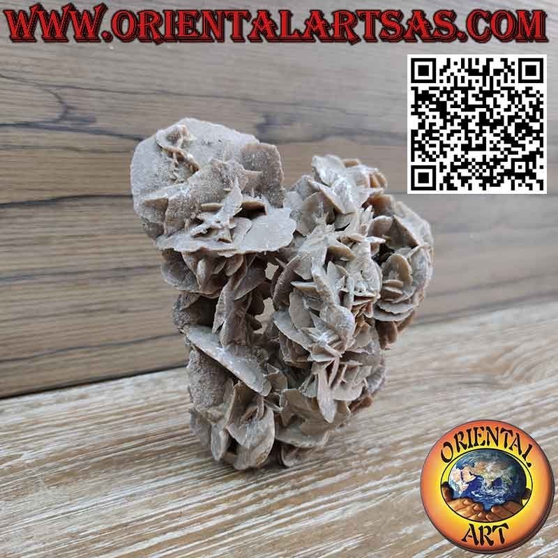 Beautiful Desert Rose of 1200 grams