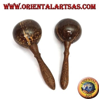 Paar Maracas in Kokosnuss