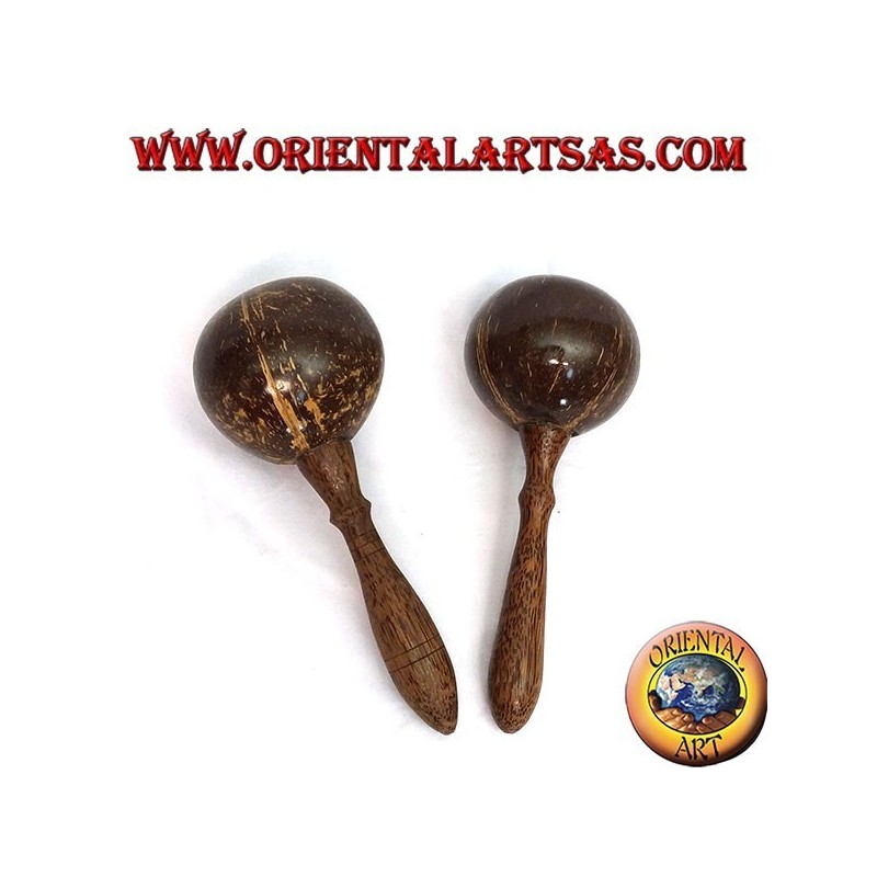 paire de maracas dans la noix de coco