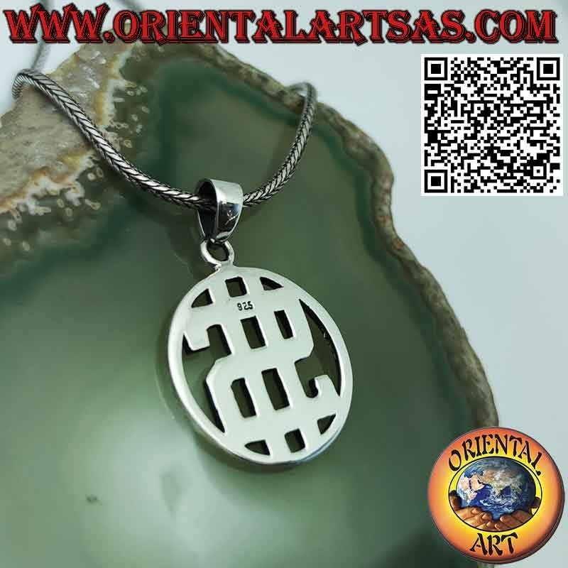 Pendentif en argent du Dollar dans le cercle, symbole de richesse