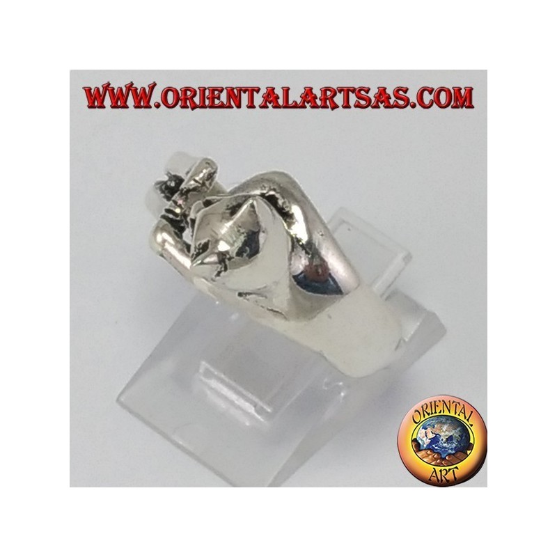 Silver ring the cat