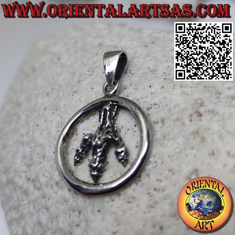 Pendentif en argent d'une griffe d'aigle royal dans le cercle