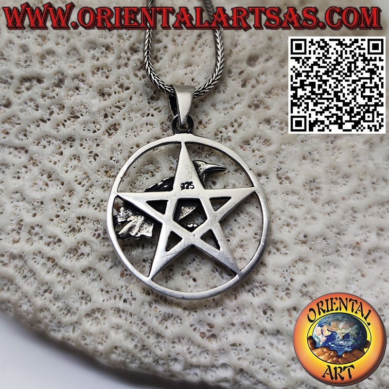 Pendentif corbeau en argent sur le pentagramme, étoile pointée vers le haut