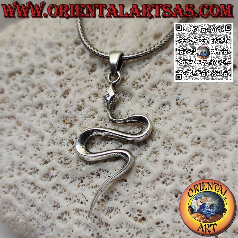 Precioso colgante de plata serpiente lisa y sinuosa deslizándose a S