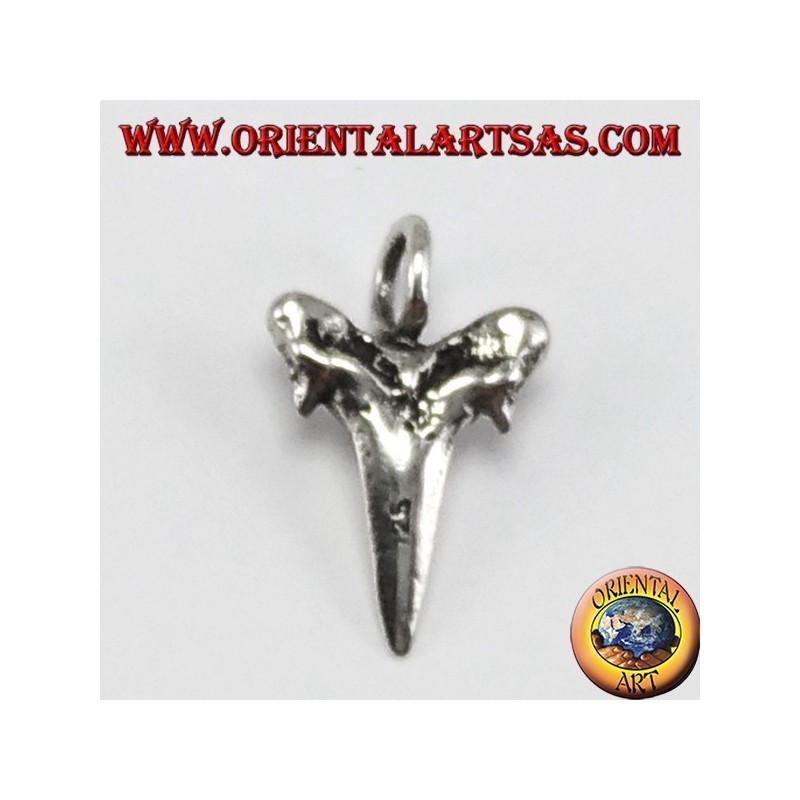 Silver Shark Tooth Pendant