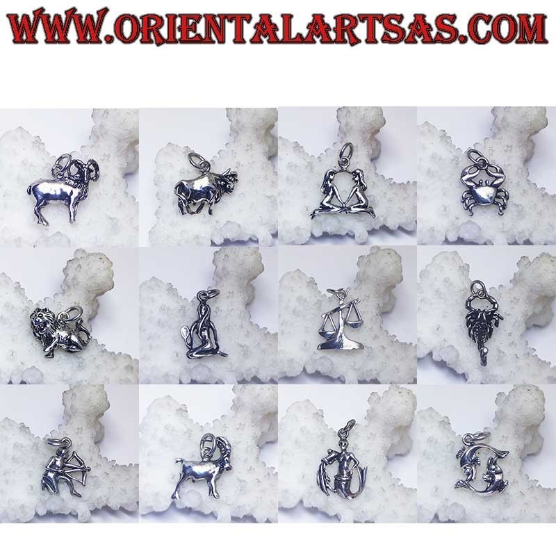 Colgante de plata signos del zodiaco Aries, Tauro, Géminis, Cáncer, Leo, Virgo, Libra, Escorpio, etc.