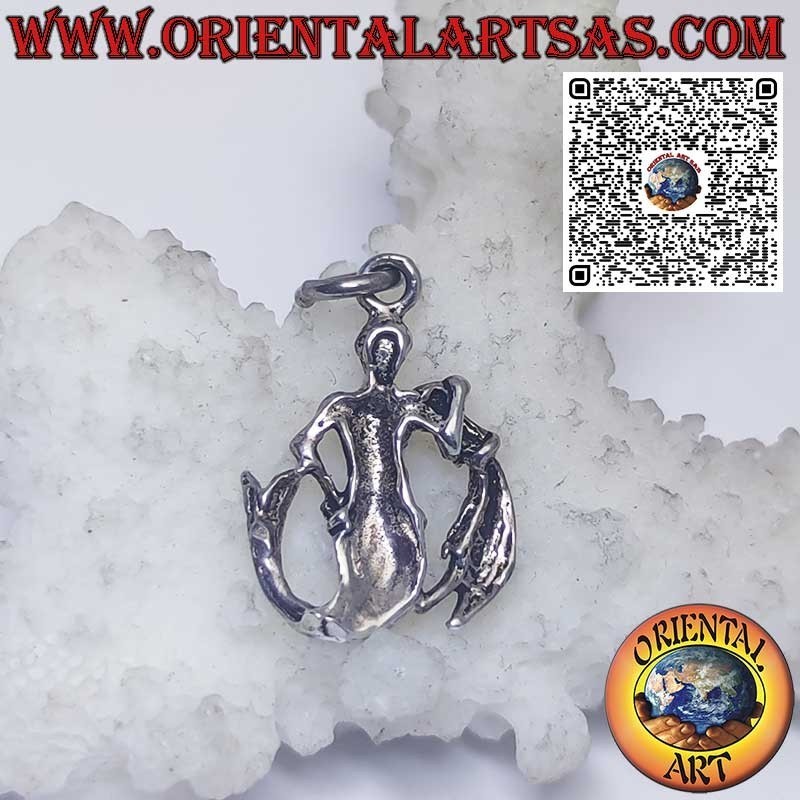 Pendentif en argent signes du zodiaque Bélier, Taureau, Gémeaux, Cancer, Lion, Vierge, Balance, Scorpion, etc.