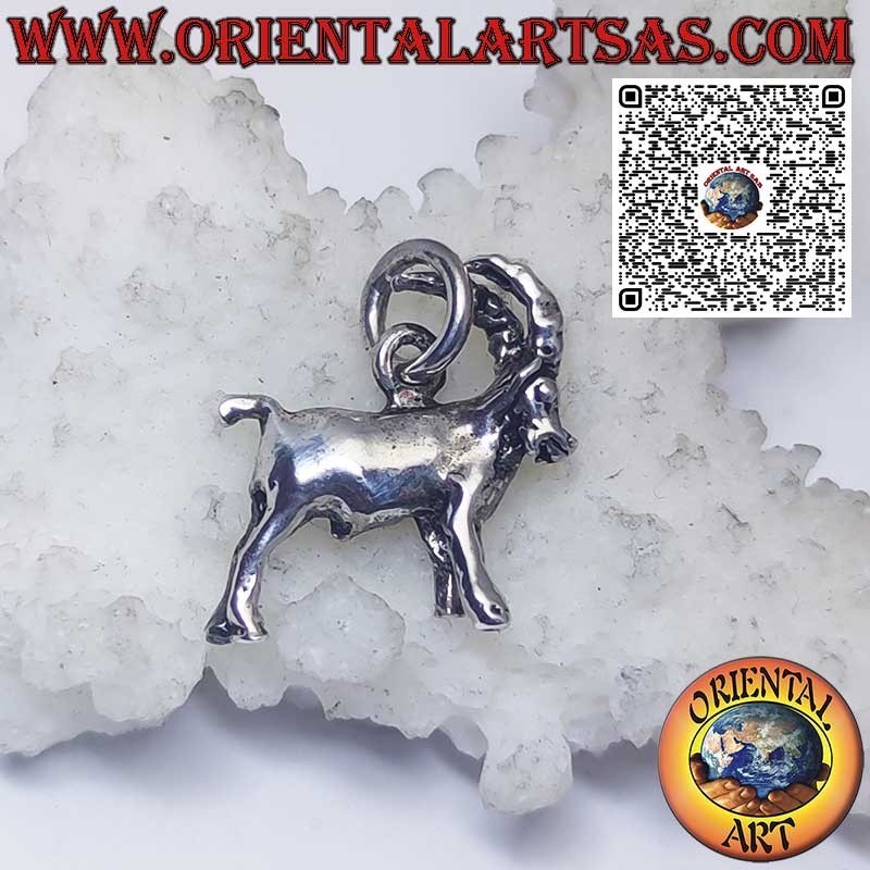 Silver pendant zodiac signs Aries, Taurus, Gemini, Cancer, Leo, Virgo, Libra, Scorpio, etc.