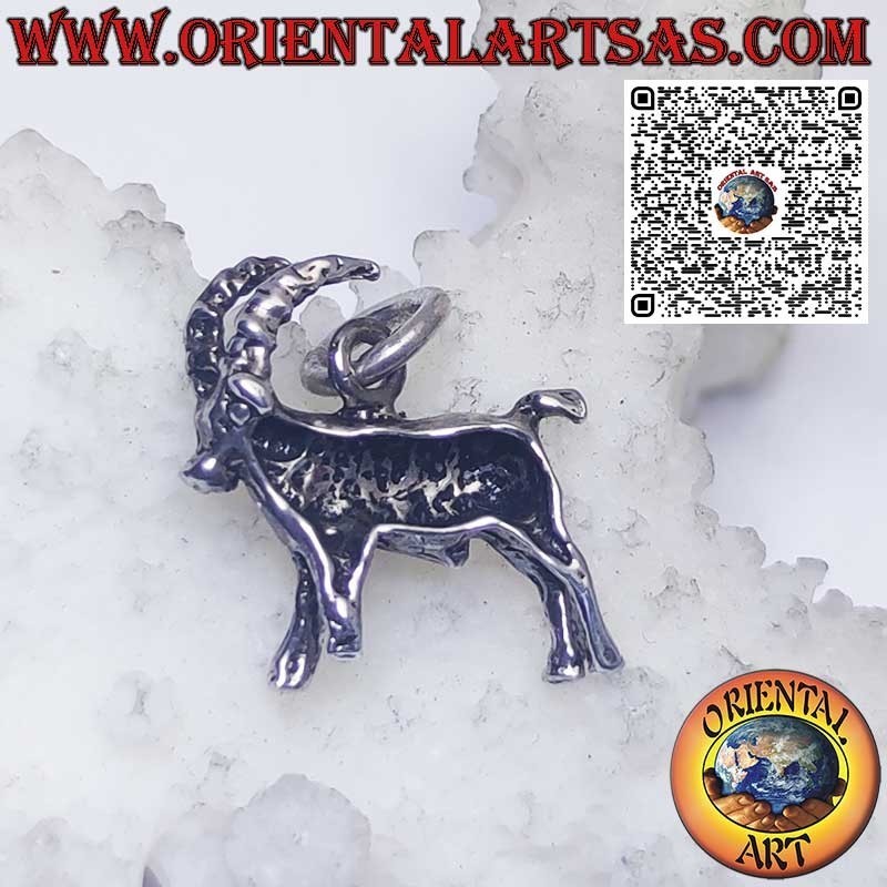 Silver pendant zodiac signs Aries, Taurus, Gemini, Cancer, Leo, Virgo, Libra, Scorpio, etc.