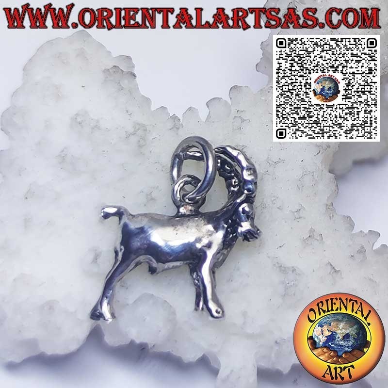 Ciondolo in argento segni zodiacali Ariete, Toro, Gemelli, Cancro, Leone, Vergine, Bilancia, Scorpione, ecc.