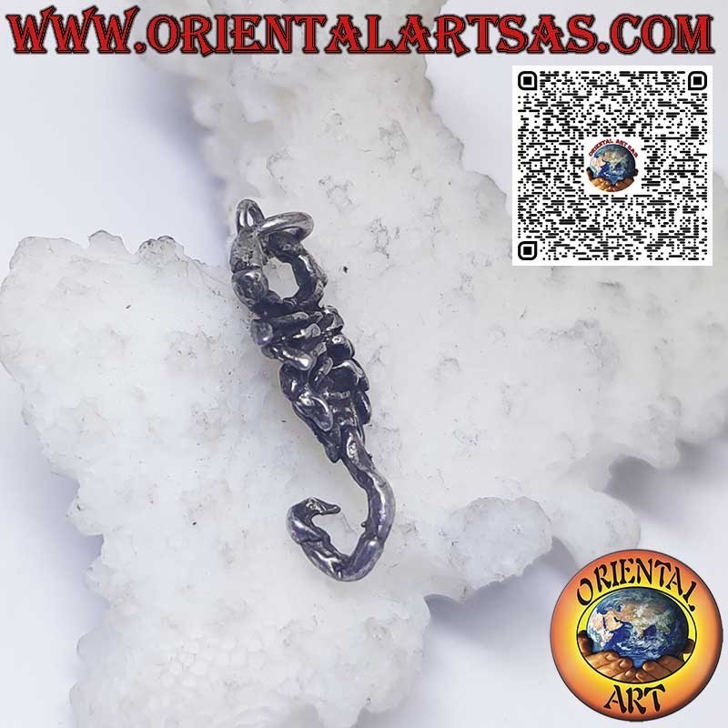 Ciondolo in argento segni zodiacali Ariete, Toro, Gemelli, Cancro, Leone, Vergine, Bilancia, Scorpione, ecc.