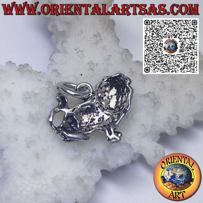 Ciondolo in argento segni zodiacali Ariete, Toro, Gemelli, Cancro, Leone, Vergine, Bilancia, Scorpione, ecc.