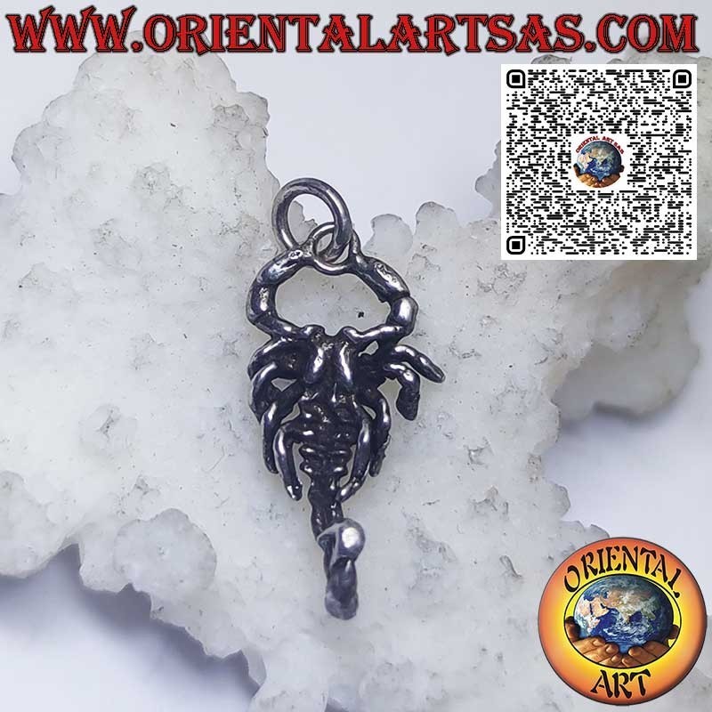 Pendentif en argent signes du zodiaque Bélier, Taureau, Gémeaux, Cancer, Lion, Vierge, Balance, Scorpion, etc.