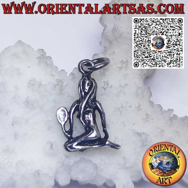 Colgante de plata signos del zodiaco Aries, Tauro, Géminis, Cáncer, Leo, Virgo, Libra, Escorpio, etc.