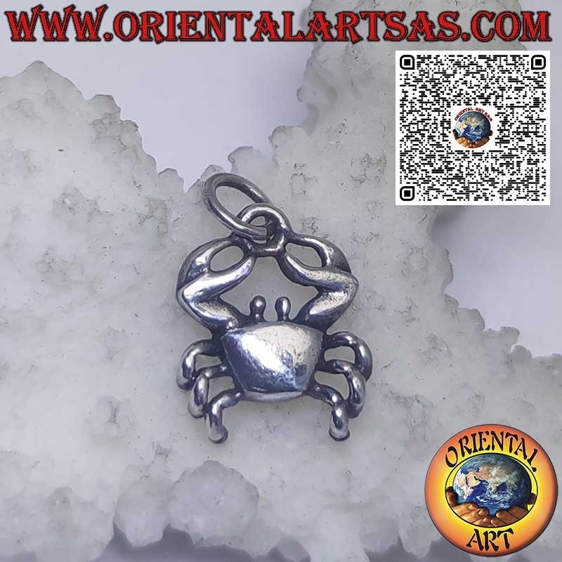 Colgante de plata signos del zodiaco Aries, Tauro, Géminis, Cáncer, Leo, Virgo, Libra, Escorpio, etc.