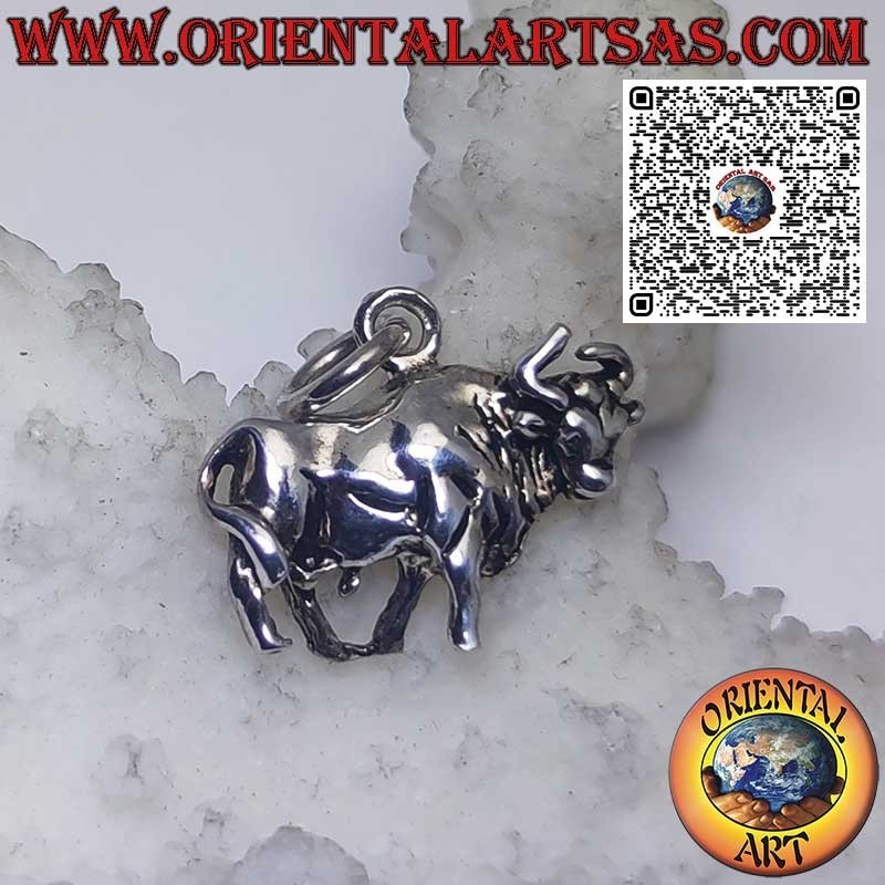Silver pendant zodiac signs Aries, Taurus, Gemini, Cancer, Leo, Virgo, Libra, Scorpio, etc.
