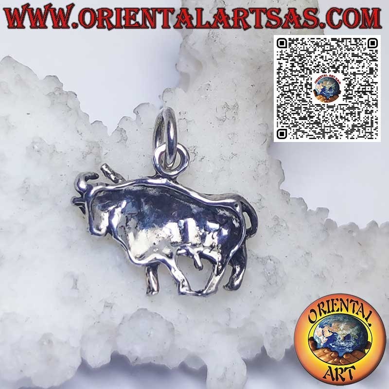 Pendentif en argent signes du zodiaque Bélier, Taureau, Gémeaux, Cancer, Lion, Vierge, Balance, Scorpion, etc.