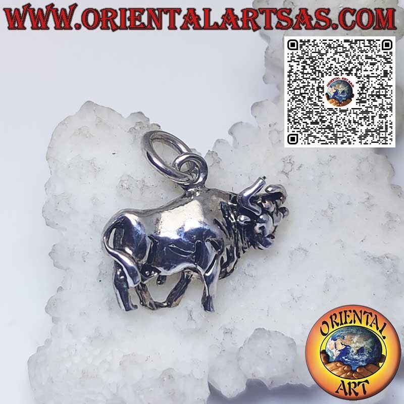 Ciondolo in argento segni zodiacali Ariete, Toro, Gemelli, Cancro, Leone, Vergine, Bilancia, Scorpione, ecc.