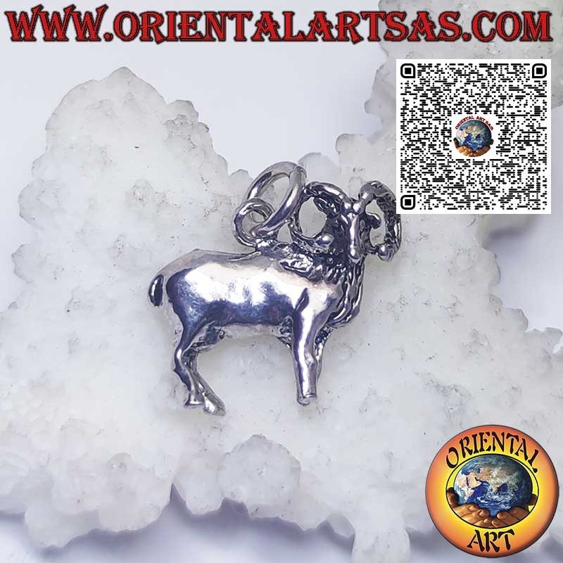 Silver pendant zodiac signs Aries, Taurus, Gemini, Cancer, Leo, Virgo, Libra, Scorpio, etc.