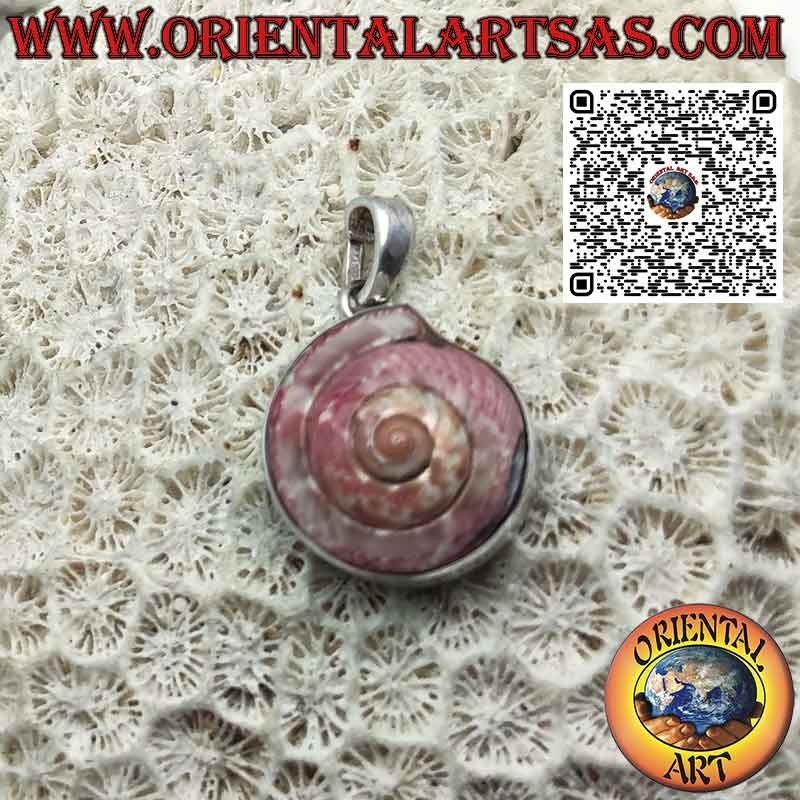 Silberanhänger mit rosa Nautilus astrea in glatter Fassung