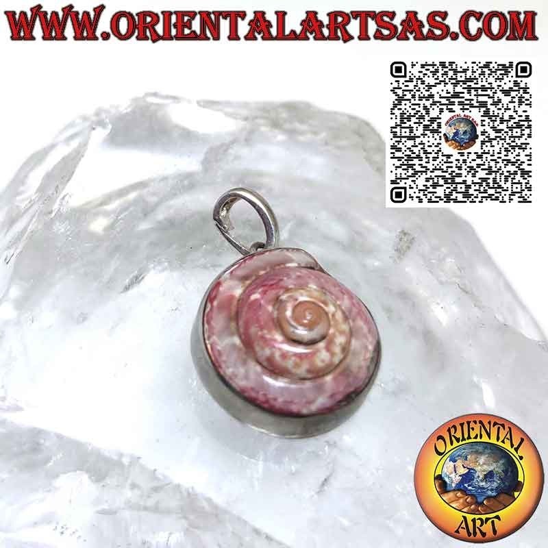 Colgante de plata con nautilus astrea rosa en engaste liso