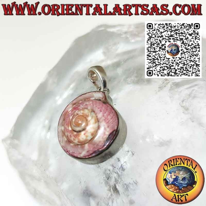 Silberanhänger mit rosa Nautilus astrea in glatter Fassung