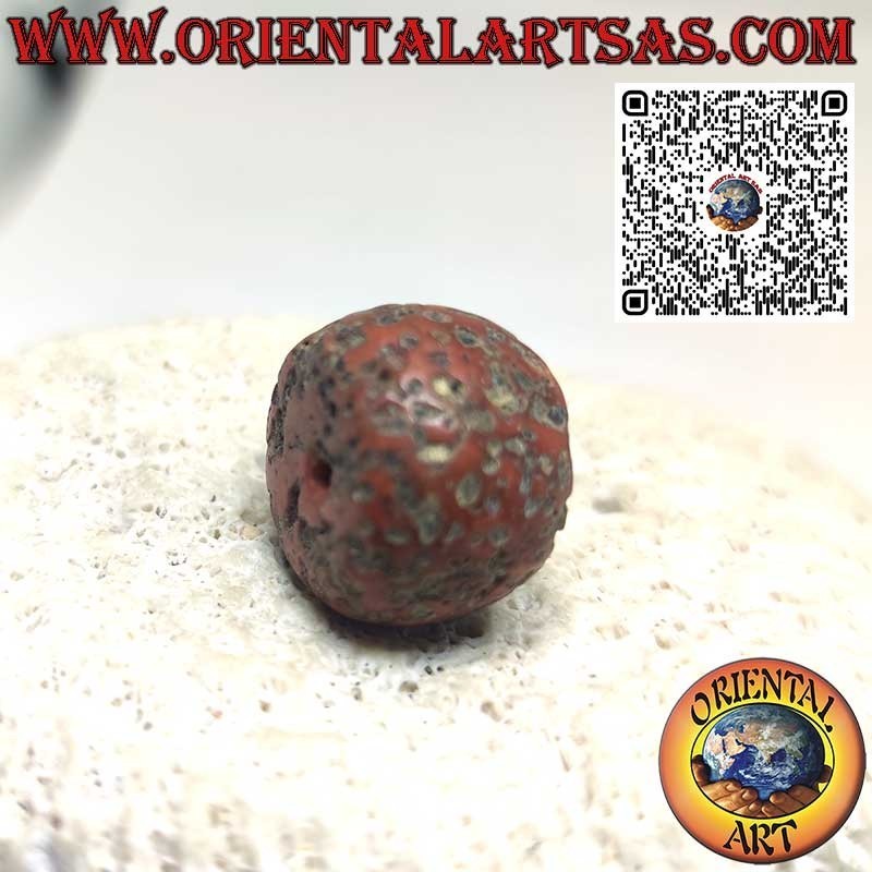 Tibetischer Antiker Natur-Korallenzylinder Fossil | Oriental Art